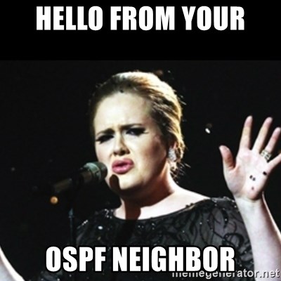 An image of Adele the singer, with "Hello from your OSPF neighbor" superimposed