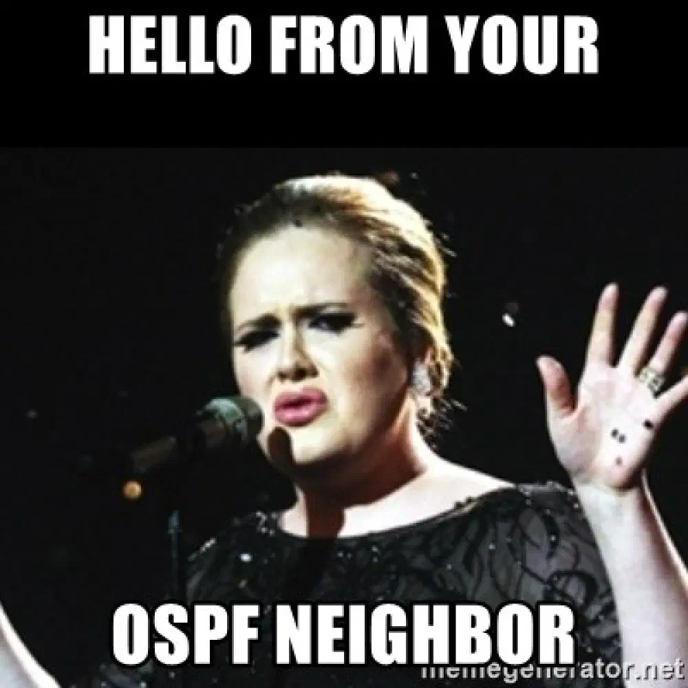 An image of Adele the singer, with &ldquo;Hello from your OSPF neighbor&rdquo; superimposed